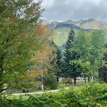 Arolles, 2 Bedrooms Apartment, View Mont Blanc, Parking Chamonix